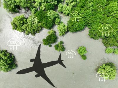  Reference image