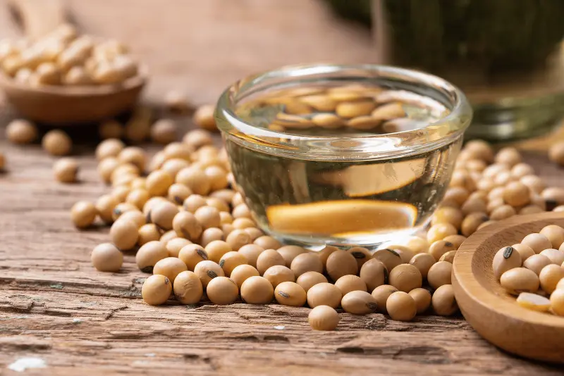 Soy bean and soy oil on wooden table
